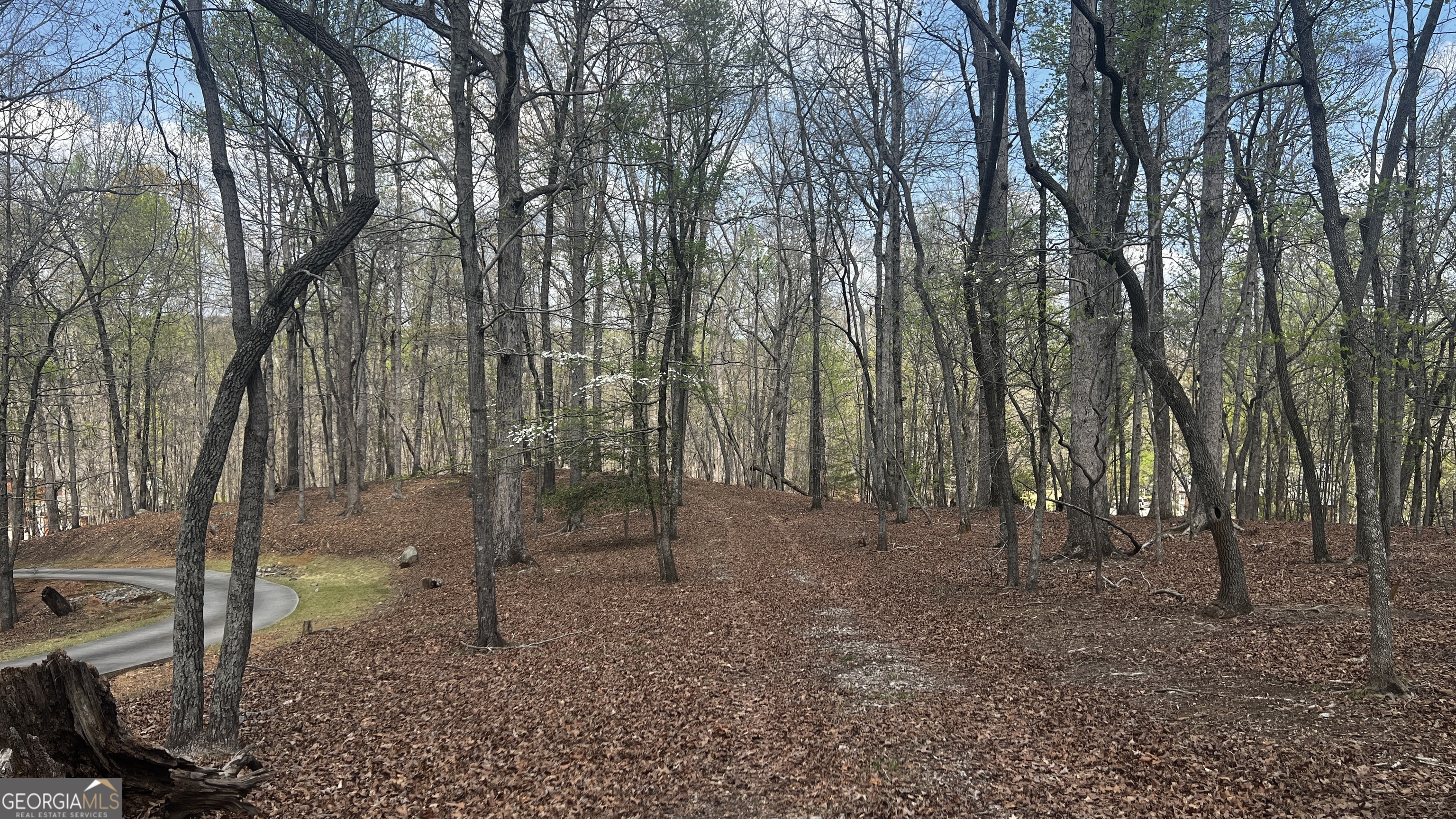 3675 Hidden Pond Drive Gainesville GA 30506