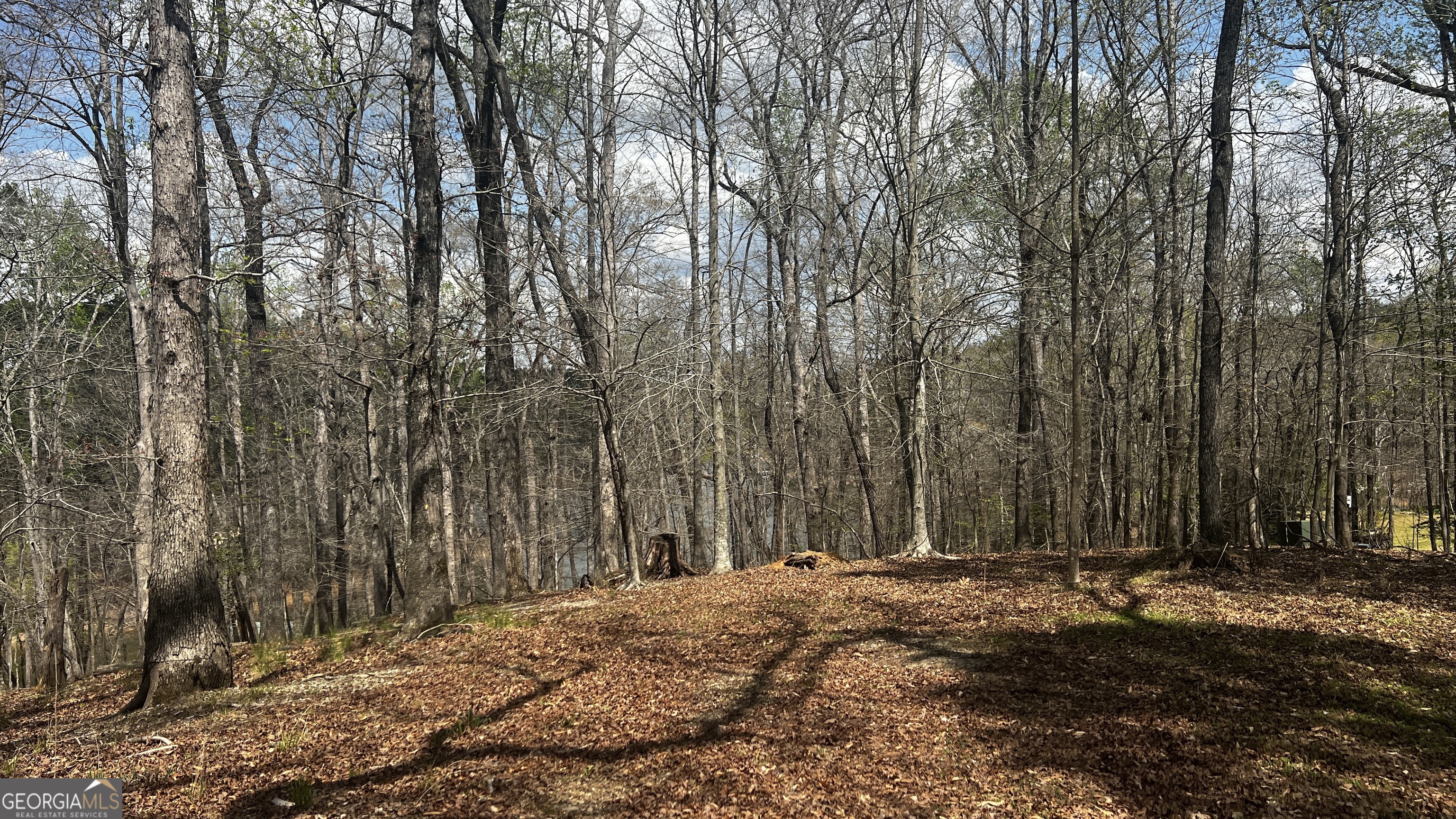 3675 Hidden Pond Drive Gainesville GA 30506