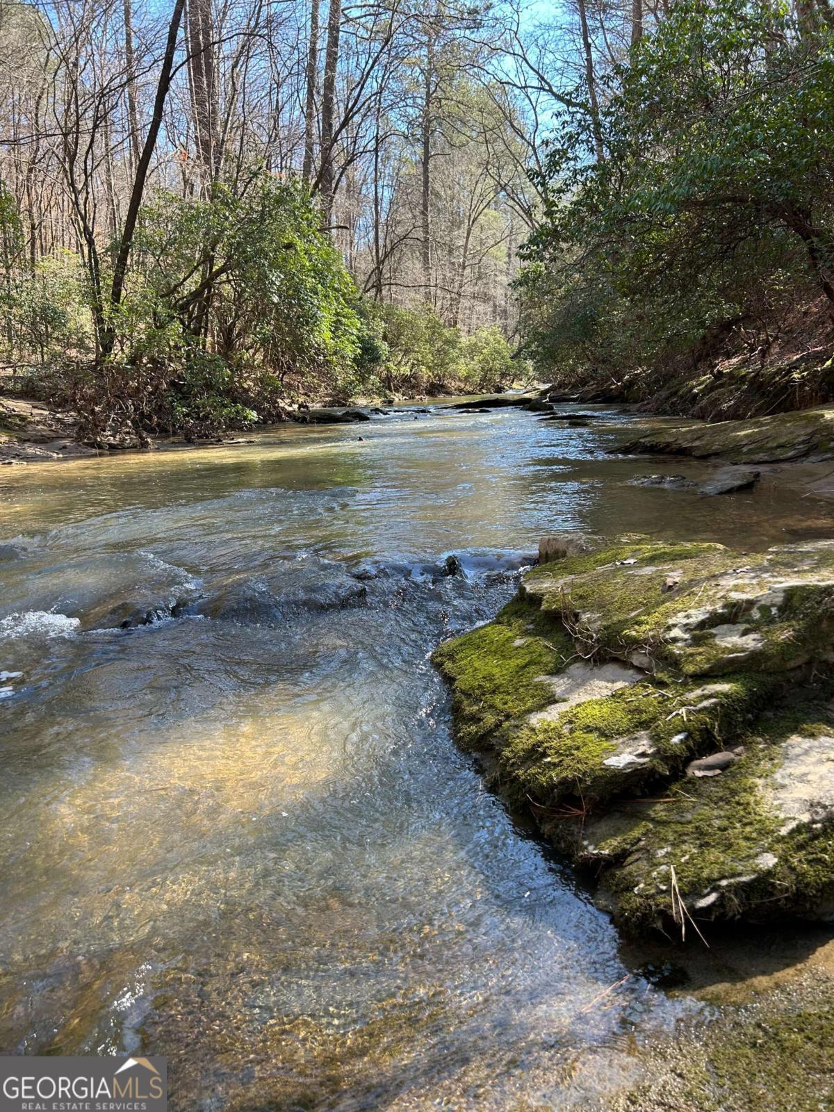 0 Coffee Mill Run Talking Rock GA 30175