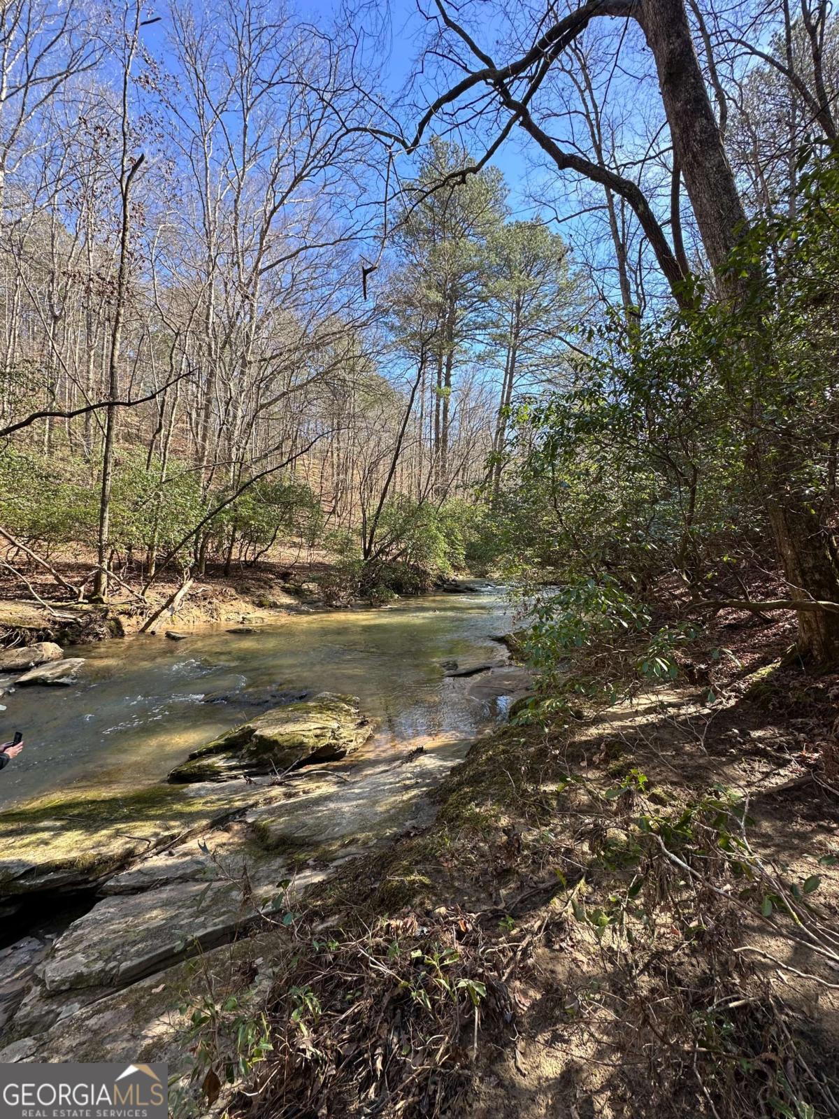 0 Coffee Mill Run Talking Rock GA 30175