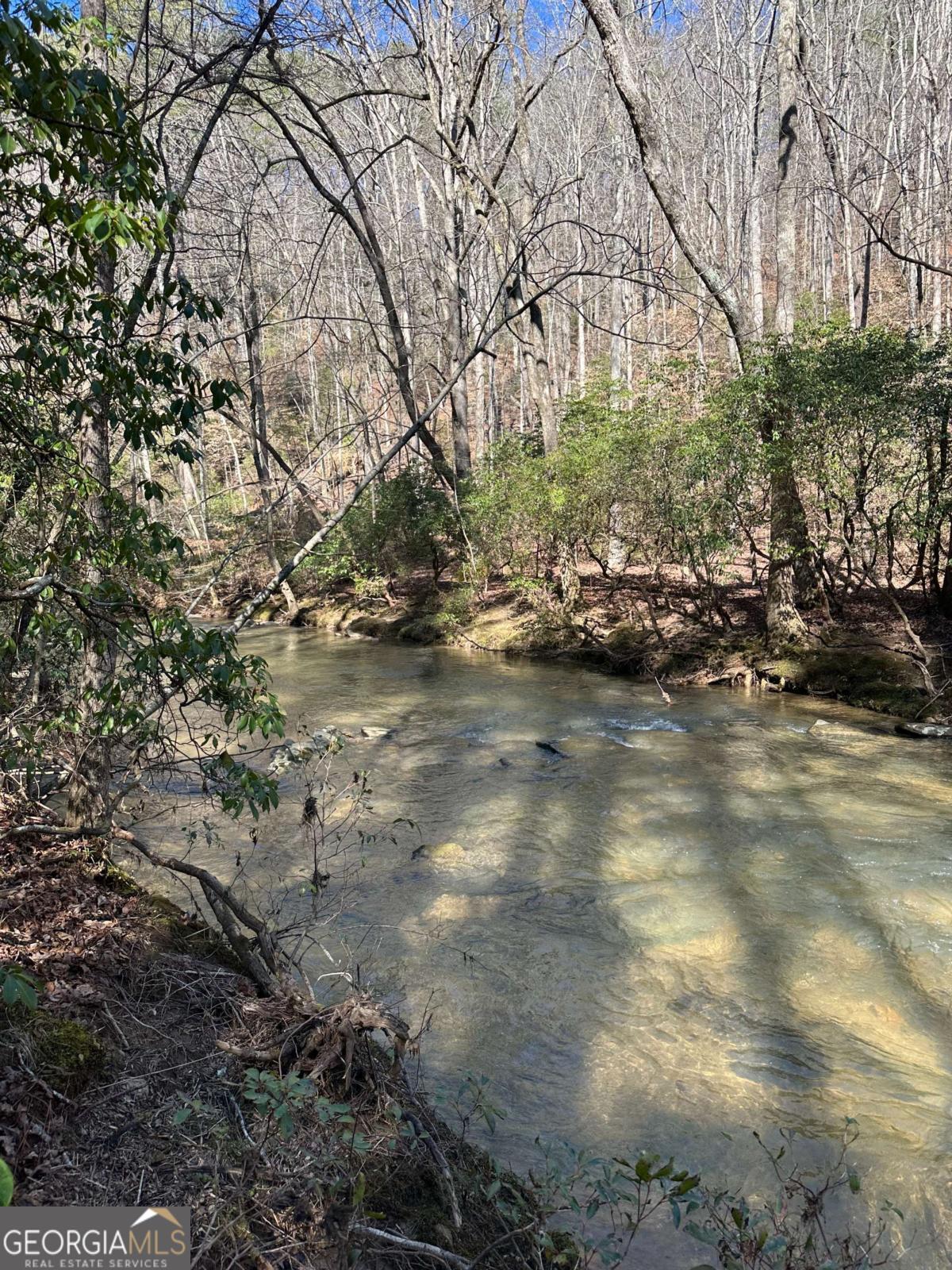 0 Coffee Mill Run Talking Rock GA 30175