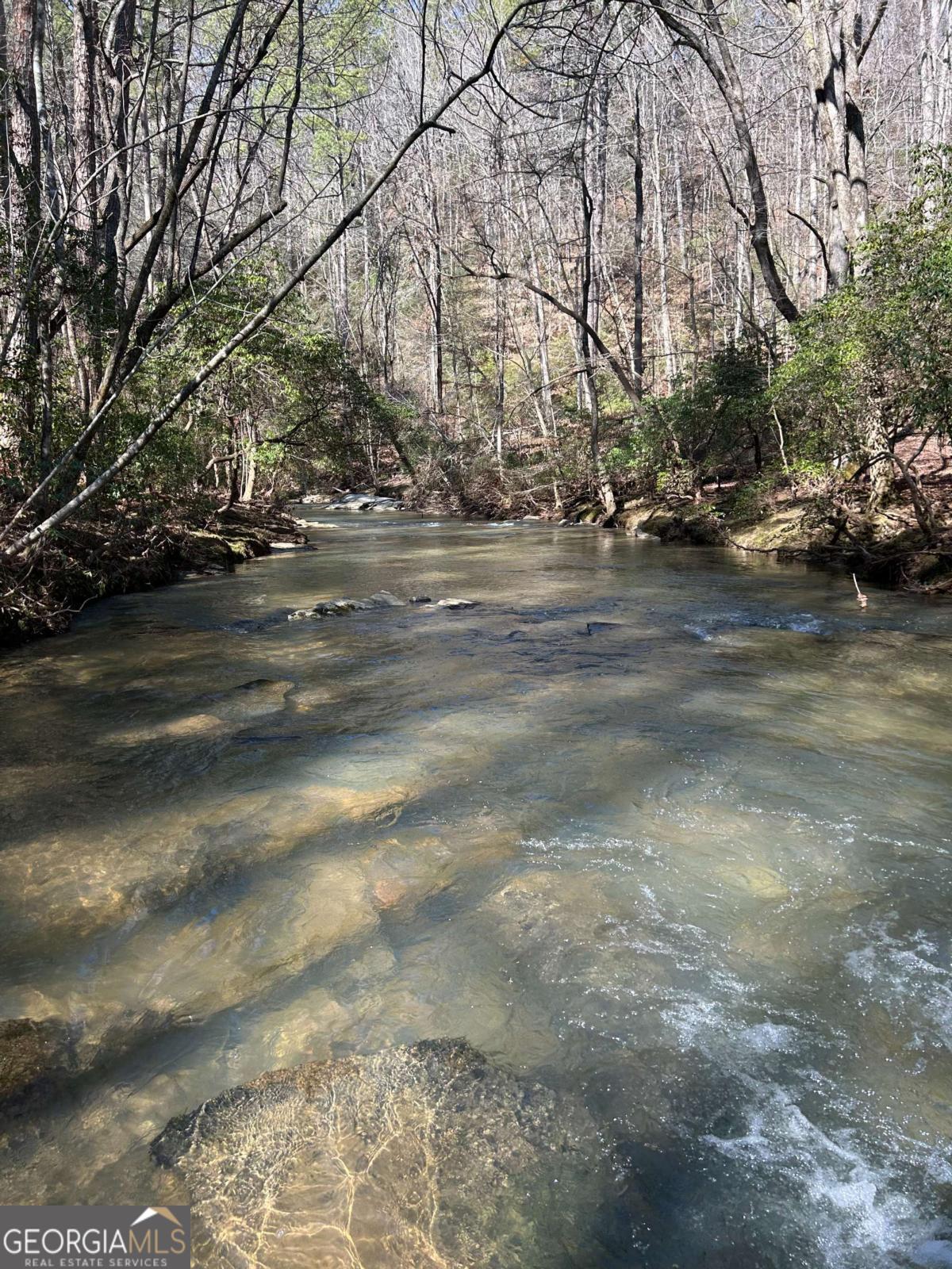 0 Coffee Mill Run Talking Rock GA 30175