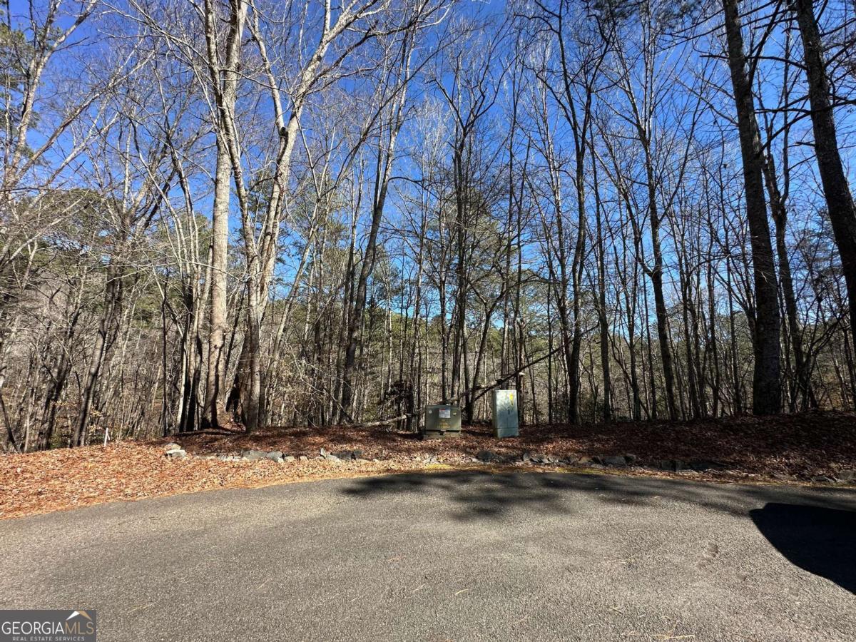 0 Coffee Mill Run Talking Rock GA 30175