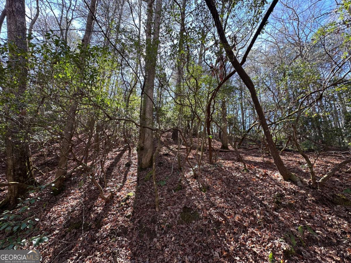 0 Coffee Mill Run Talking Rock GA 30175
