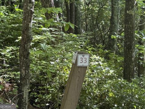 Lot 33 Fodder Creek Mill Drive Hiawassee GA 30546