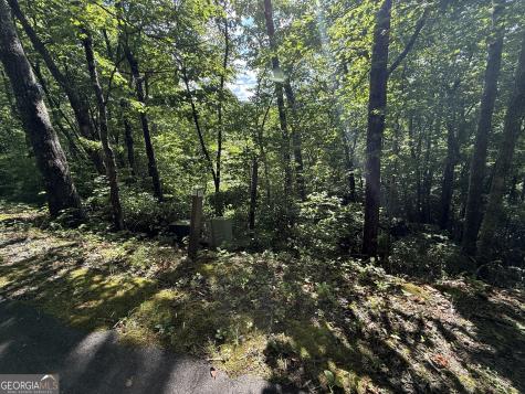 Lot 33 Fodder Creek Mill Drive Hiawassee GA 30546