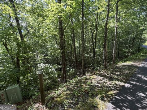 Lot 33 Fodder Creek Mill Drive Hiawassee GA 30546