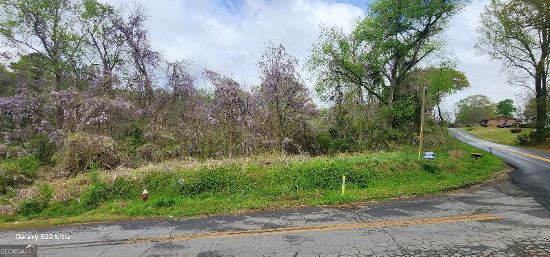 0 Alabama Street Washington GA 30673