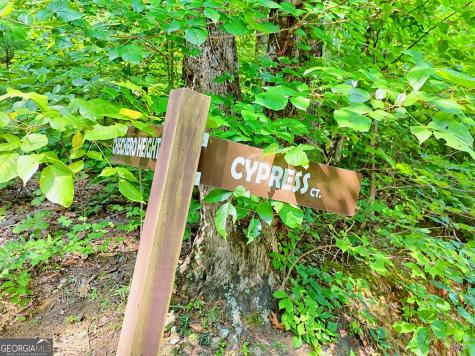 0 King Mountain Drive Clayton GA 30525