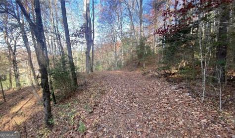 1 Barefoot Hills Road Hiawassee GA 30546