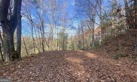 1 Barefoot Hills Road Hiawassee GA 30546
