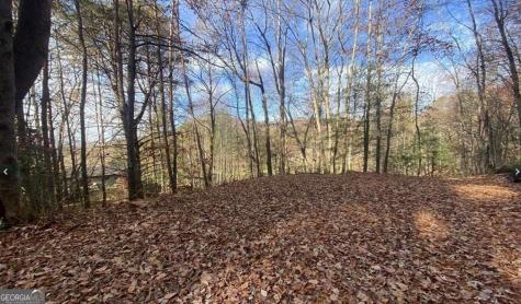 1 Barefoot Hills Road Hiawassee GA 30546