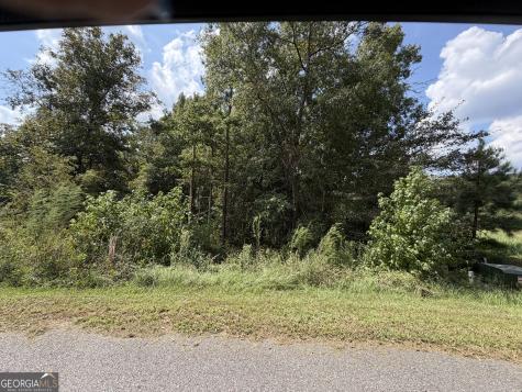 303 Shelter Cove Lizella GA 31052