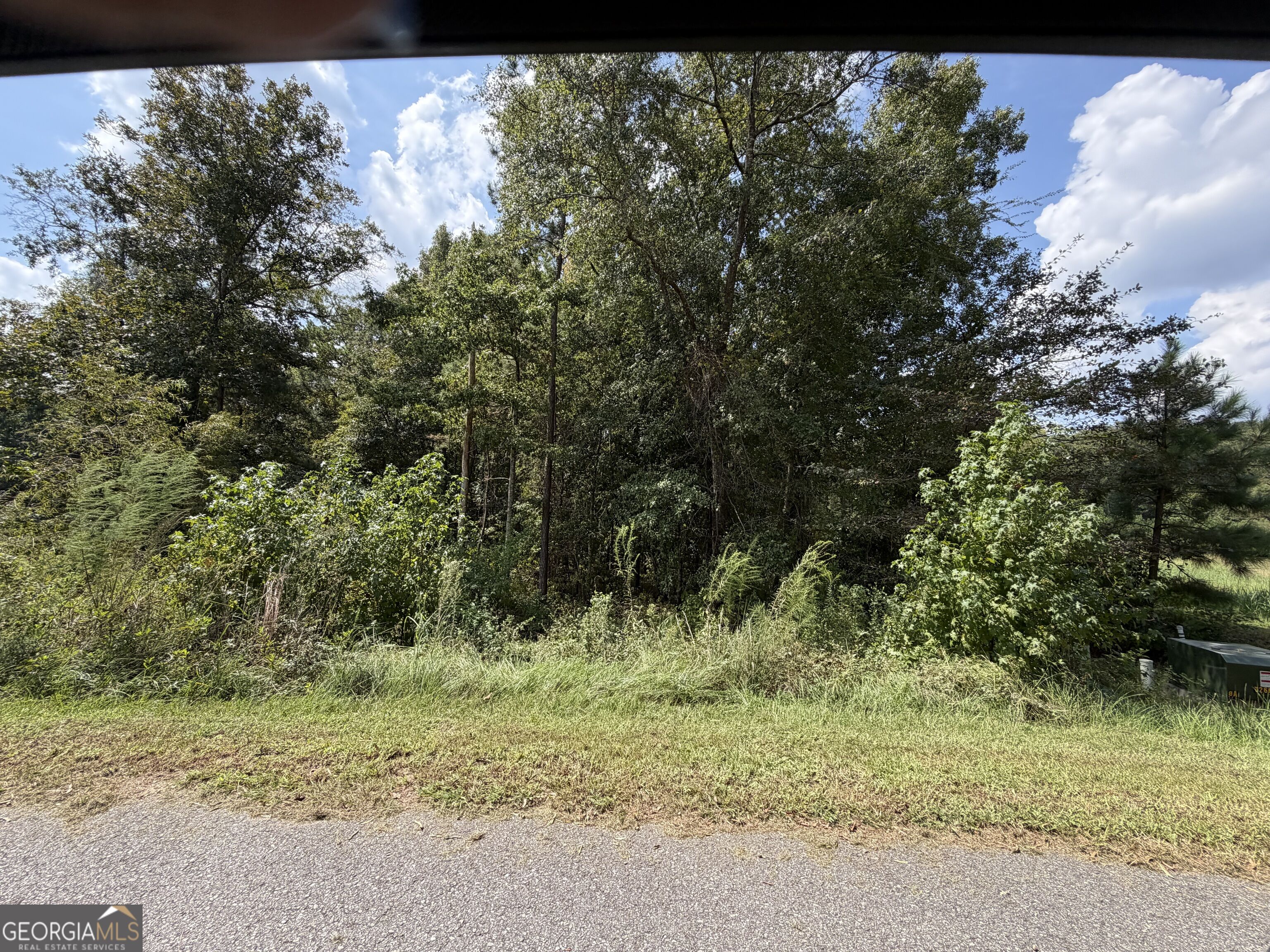 303 Shelter Cove Lizella GA 31052