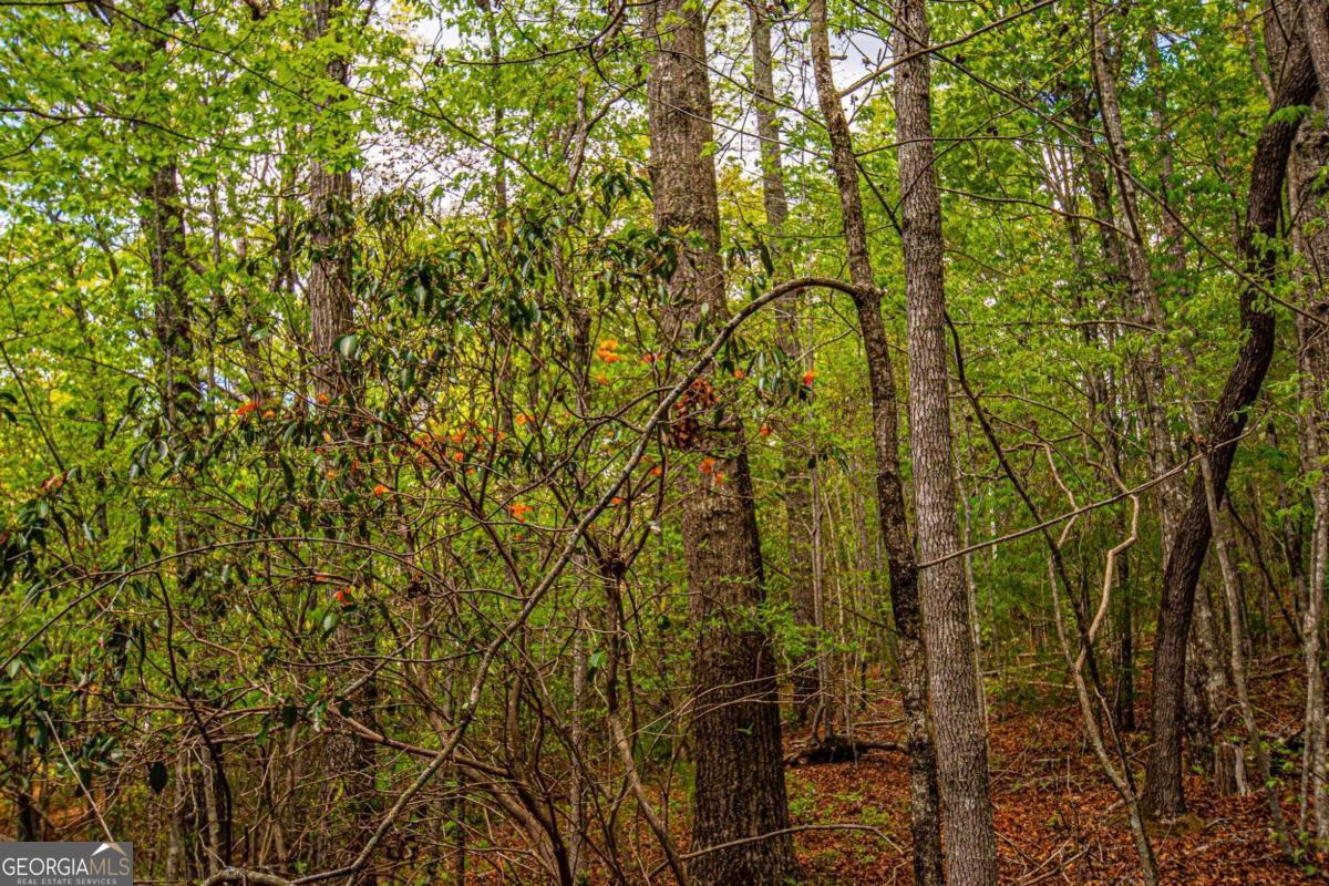 0 Antioch Valley Road Trct 3 Dawsonville GA 30534