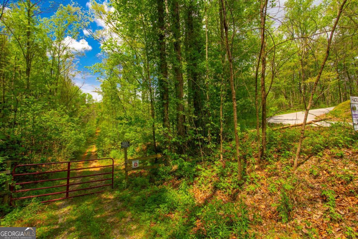 0 Antioch Valley Road Trct 3 Dawsonville GA 30534