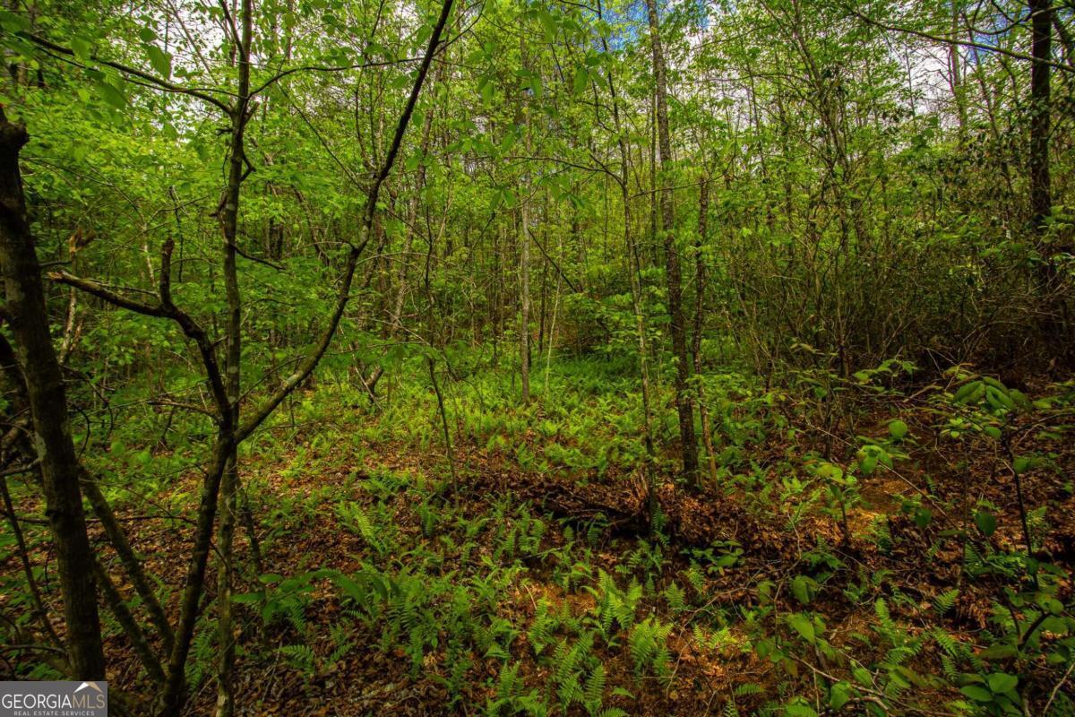 0 Antioch Valley Road Trct 3 Dawsonville GA 30534