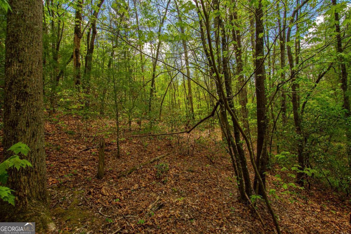 0 Antioch Valley Road Trct 3 Dawsonville GA 30534