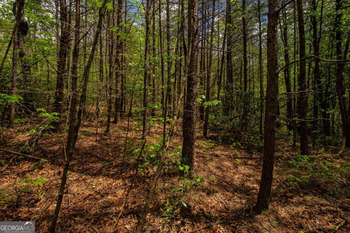 0 Antioch Valley Road Trct 3 Dawsonville GA 30534