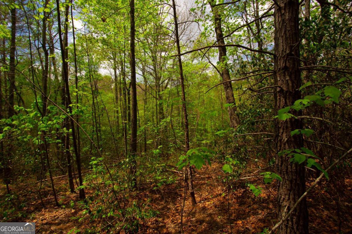 0 Antioch Valley Road Trct 3 Dawsonville GA 30534