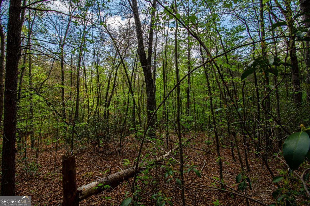 0 Antioch Valley Road Trct 3 Dawsonville GA 30534