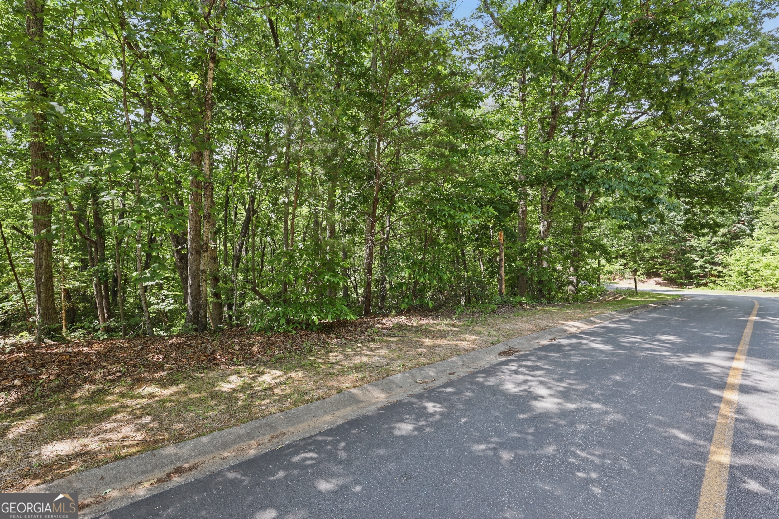 0 Plum Lane Clarkesville GA 30523