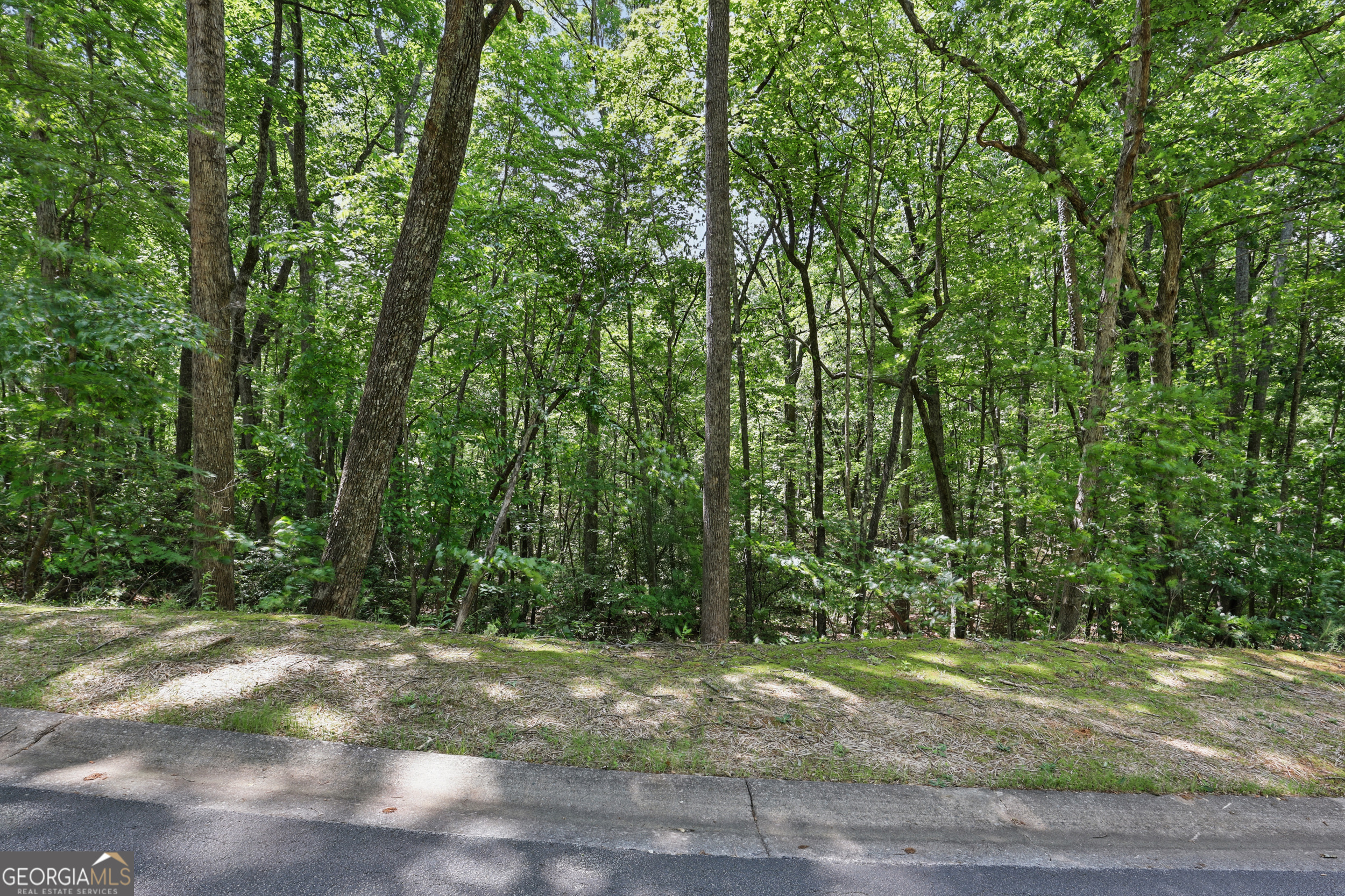 0 Plum Lane Clarkesville GA 30523