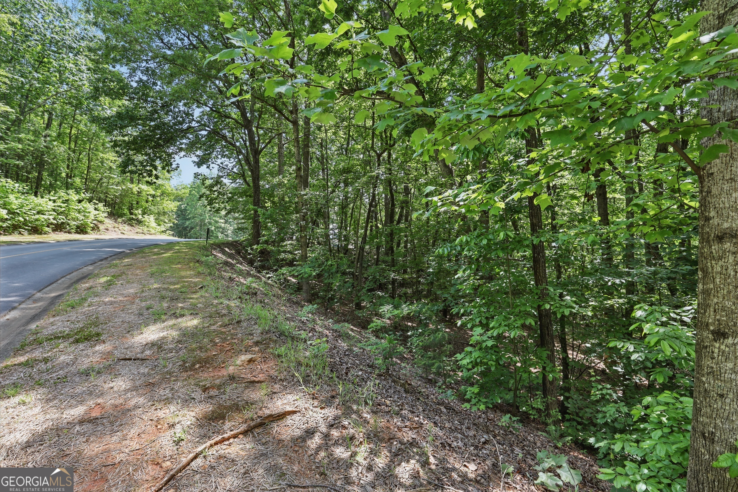 0 Plum Lane Clarkesville GA 30523