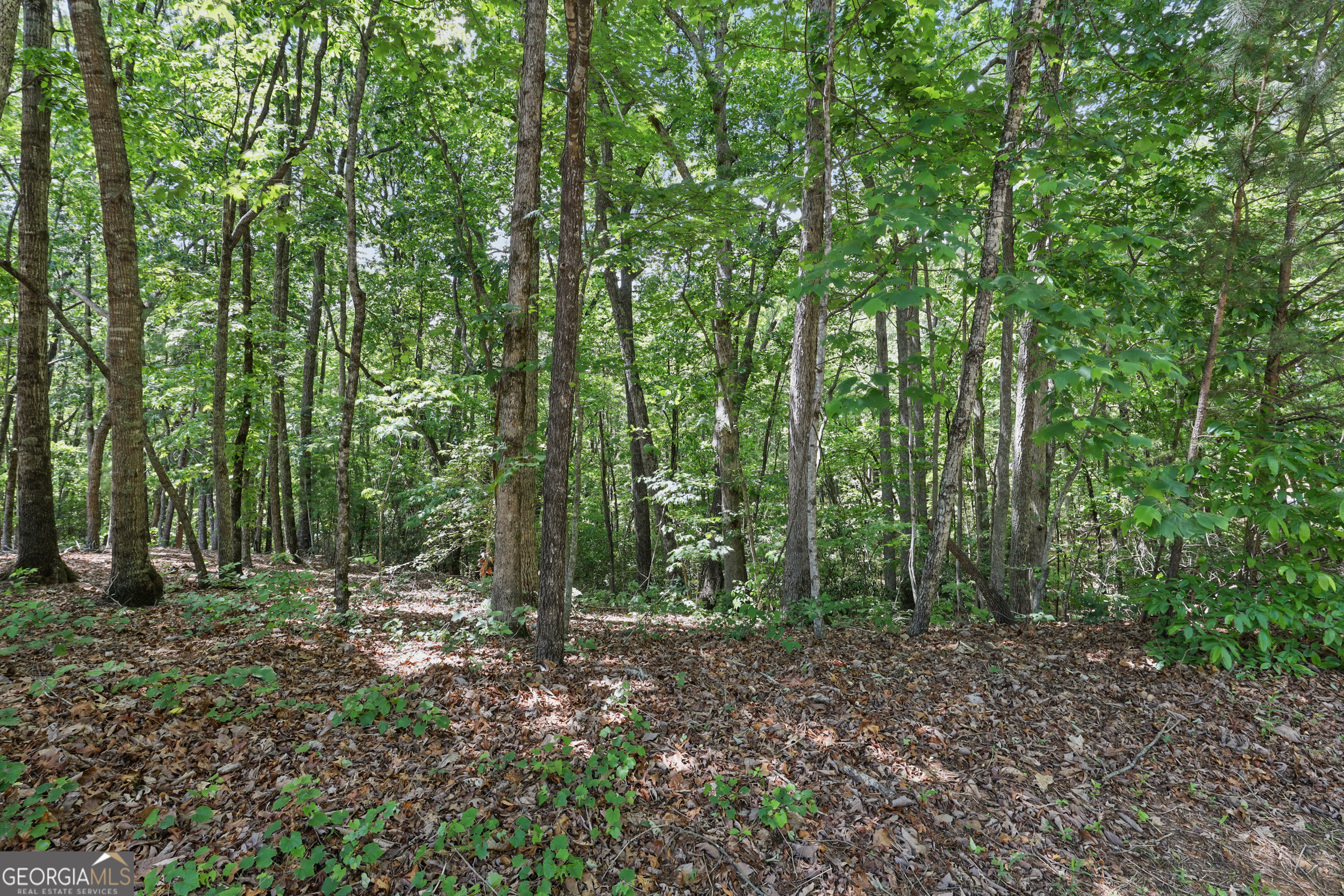 0 Plum Lane Clarkesville GA 30523
