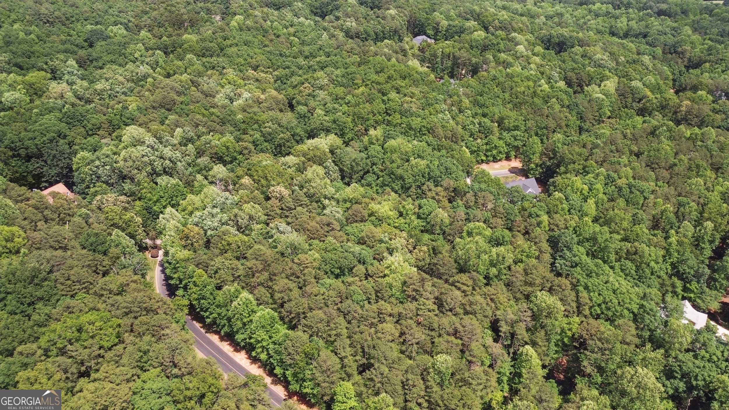 0 Plum Lane Clarkesville GA 30523
