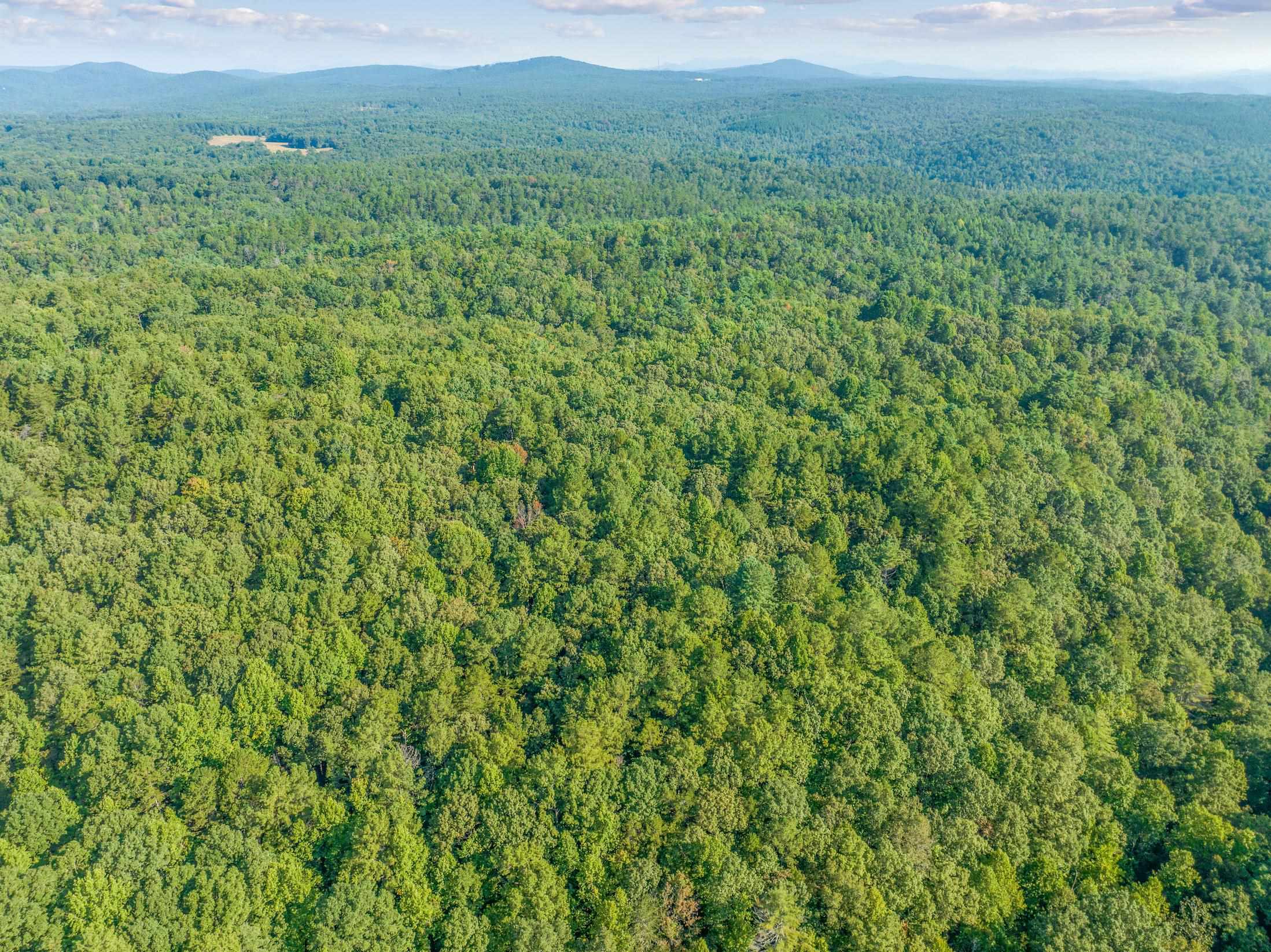 366 Mossy Creek Lane Clarkesville GA 30523