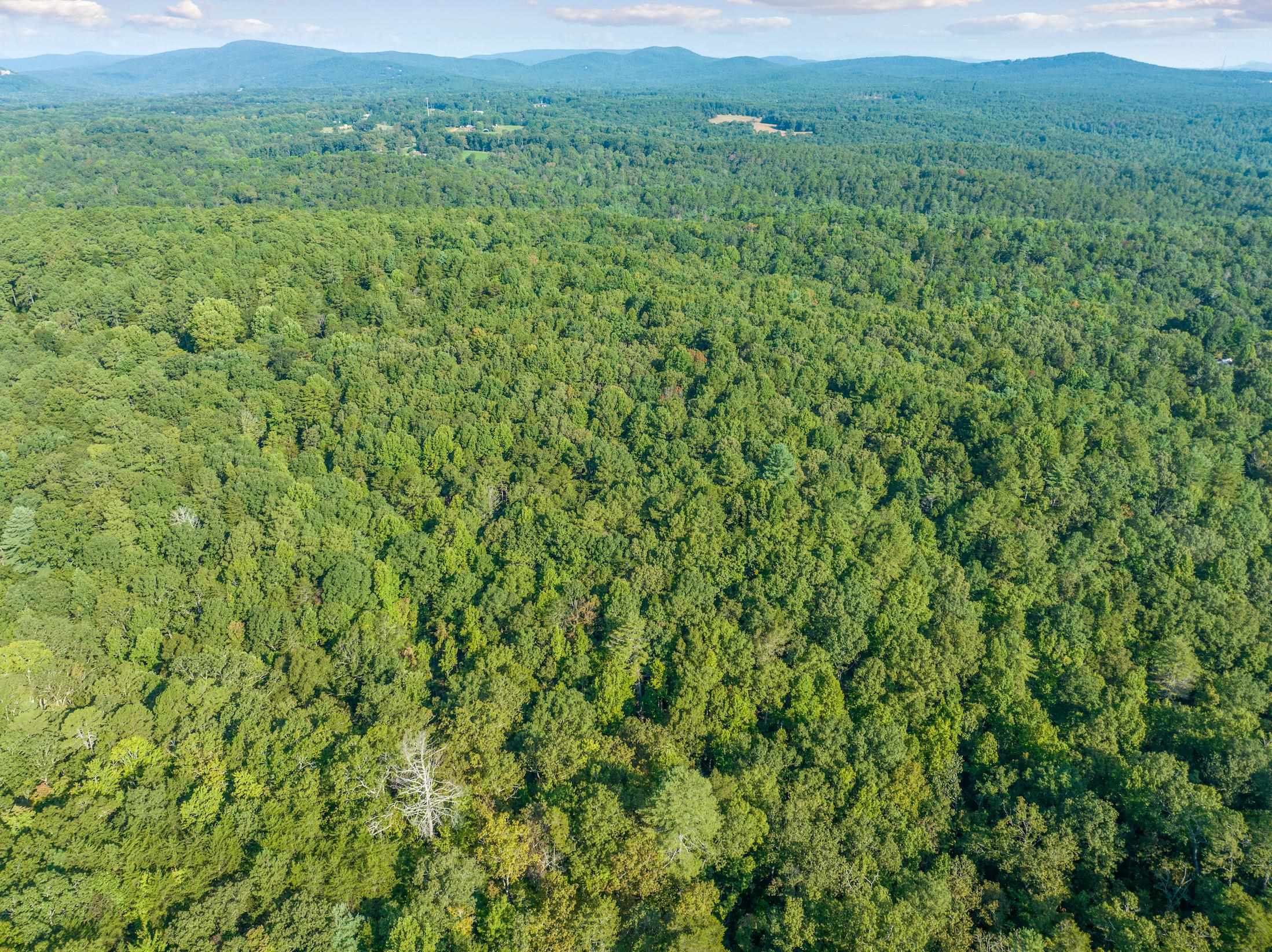 366 Mossy Creek Lane Clarkesville GA 30523