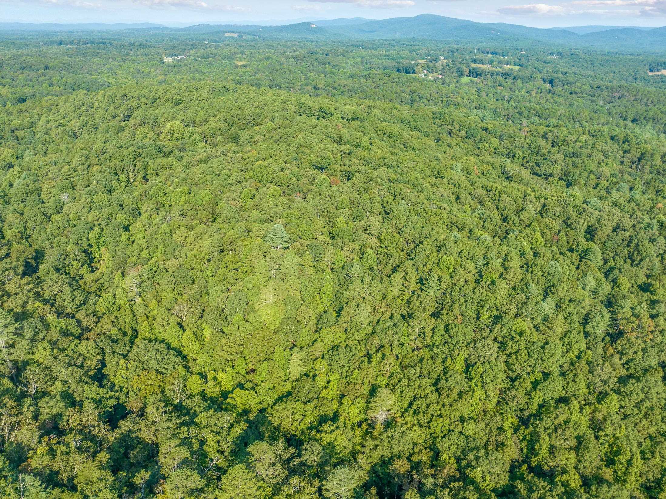 366 Mossy Creek Lane Clarkesville GA 30523