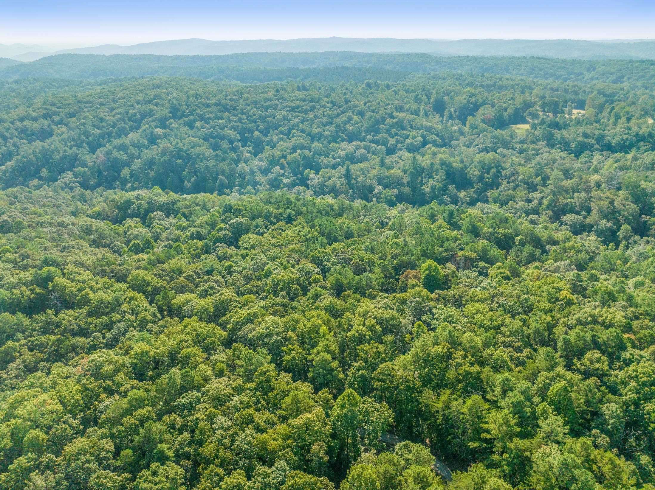 366 Mossy Creek Lane Clarkesville GA 30523