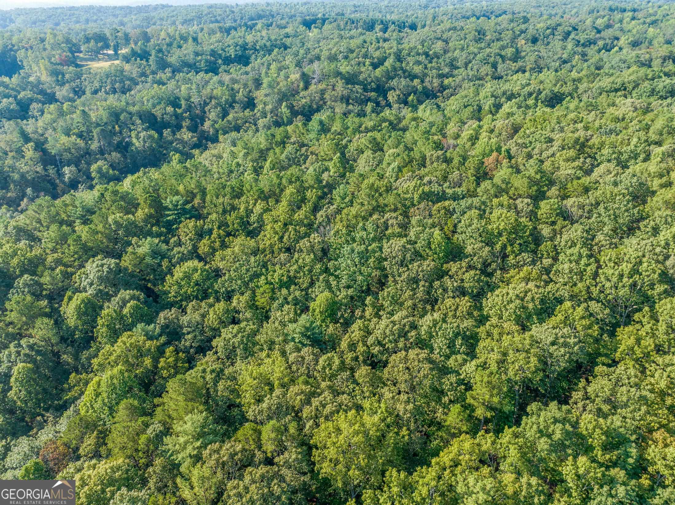 366 Mossy Creek Lane Clarkesville GA 30523