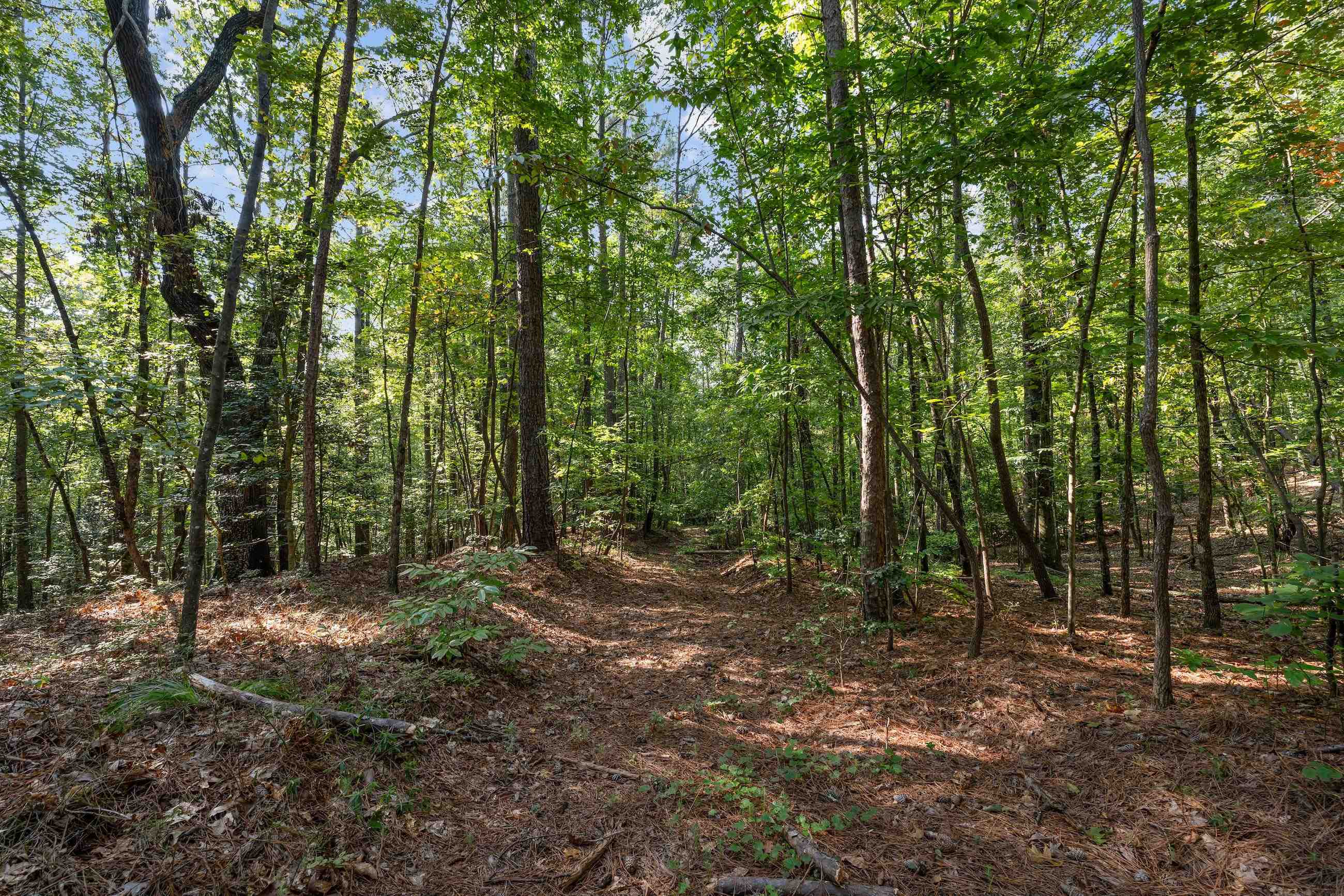 366 Mossy Creek Lane Clarkesville GA 30523