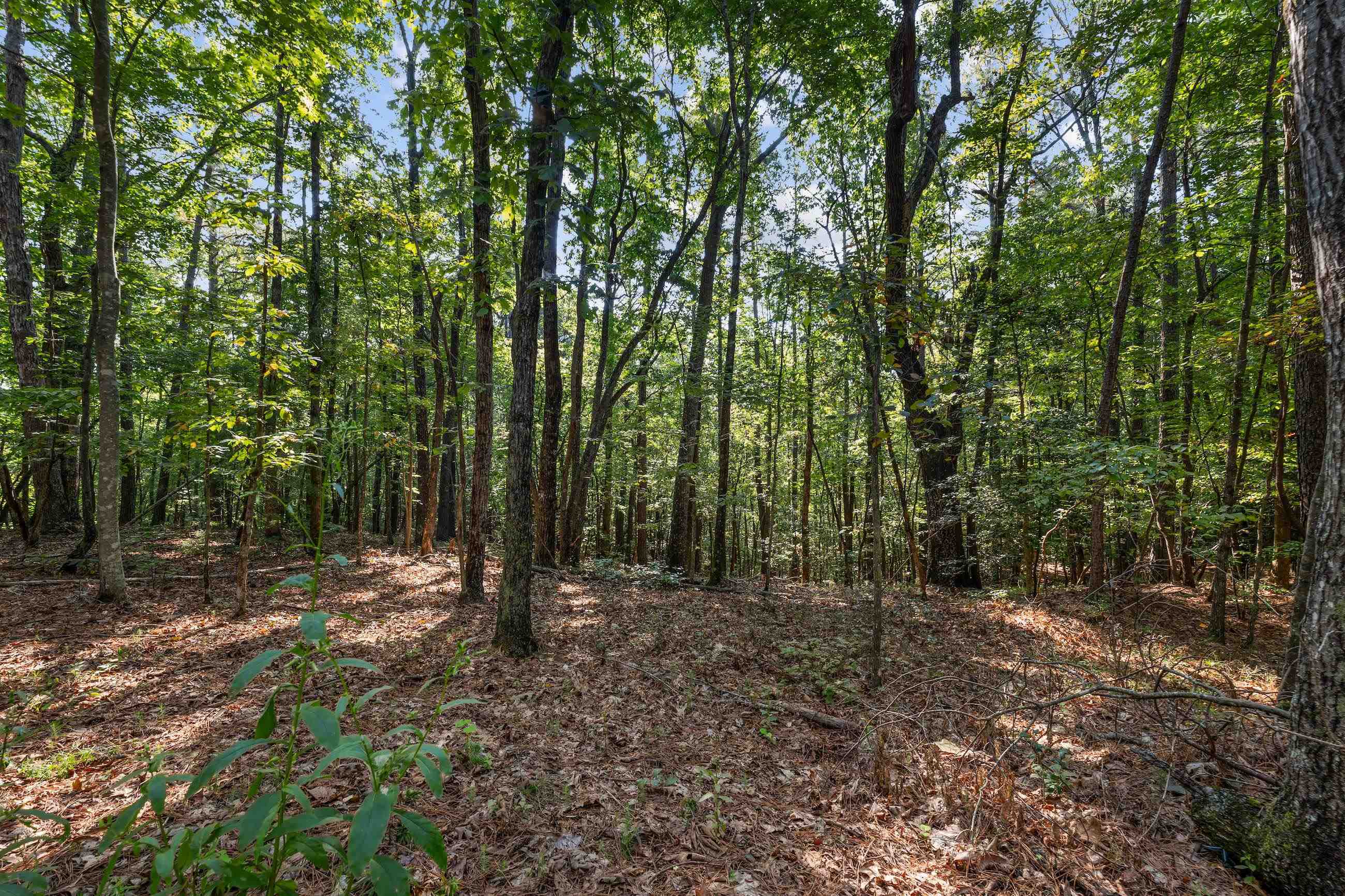 366 Mossy Creek Lane Clarkesville GA 30523