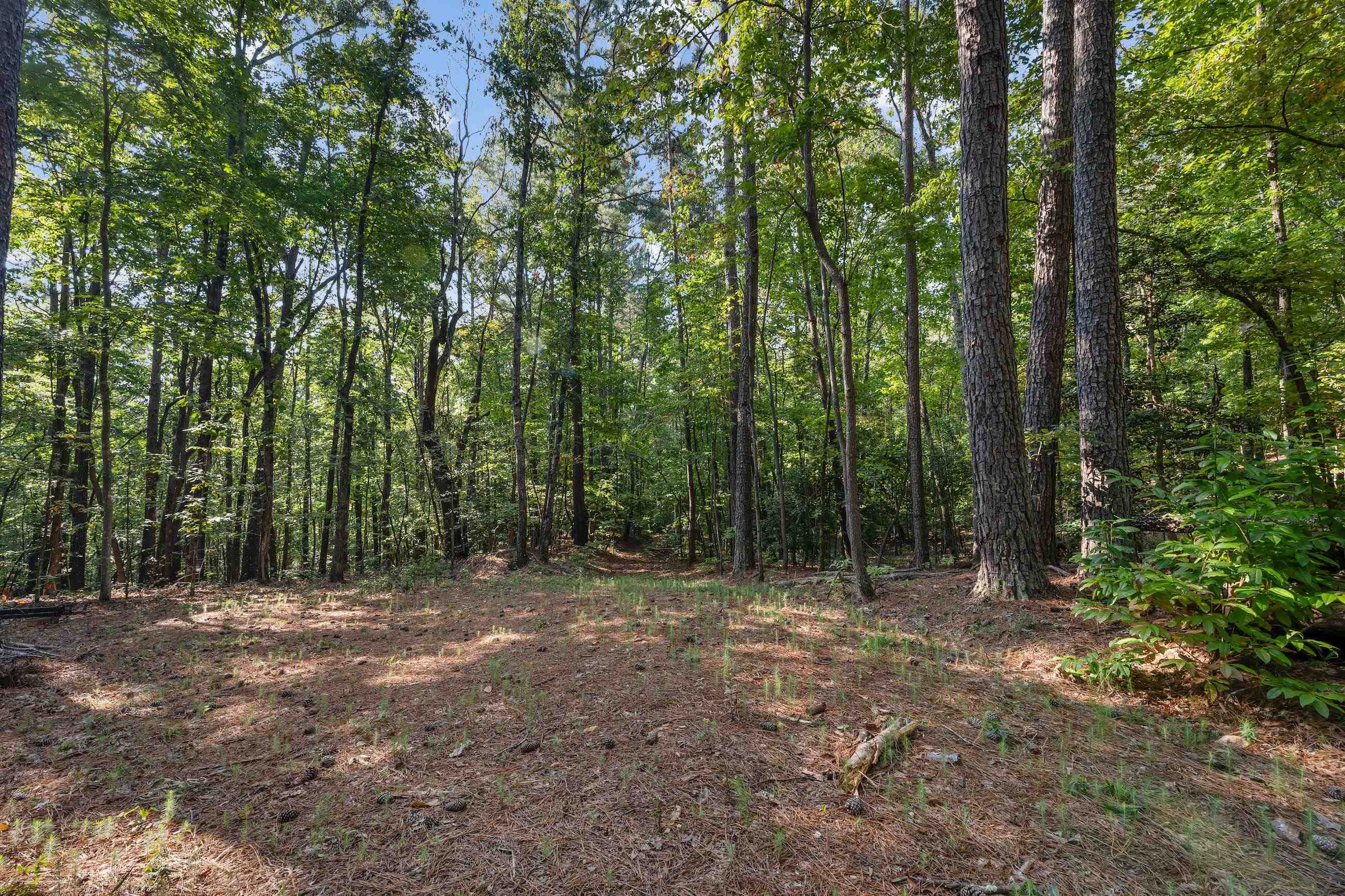 366 Mossy Creek Lane Clarkesville GA 30523