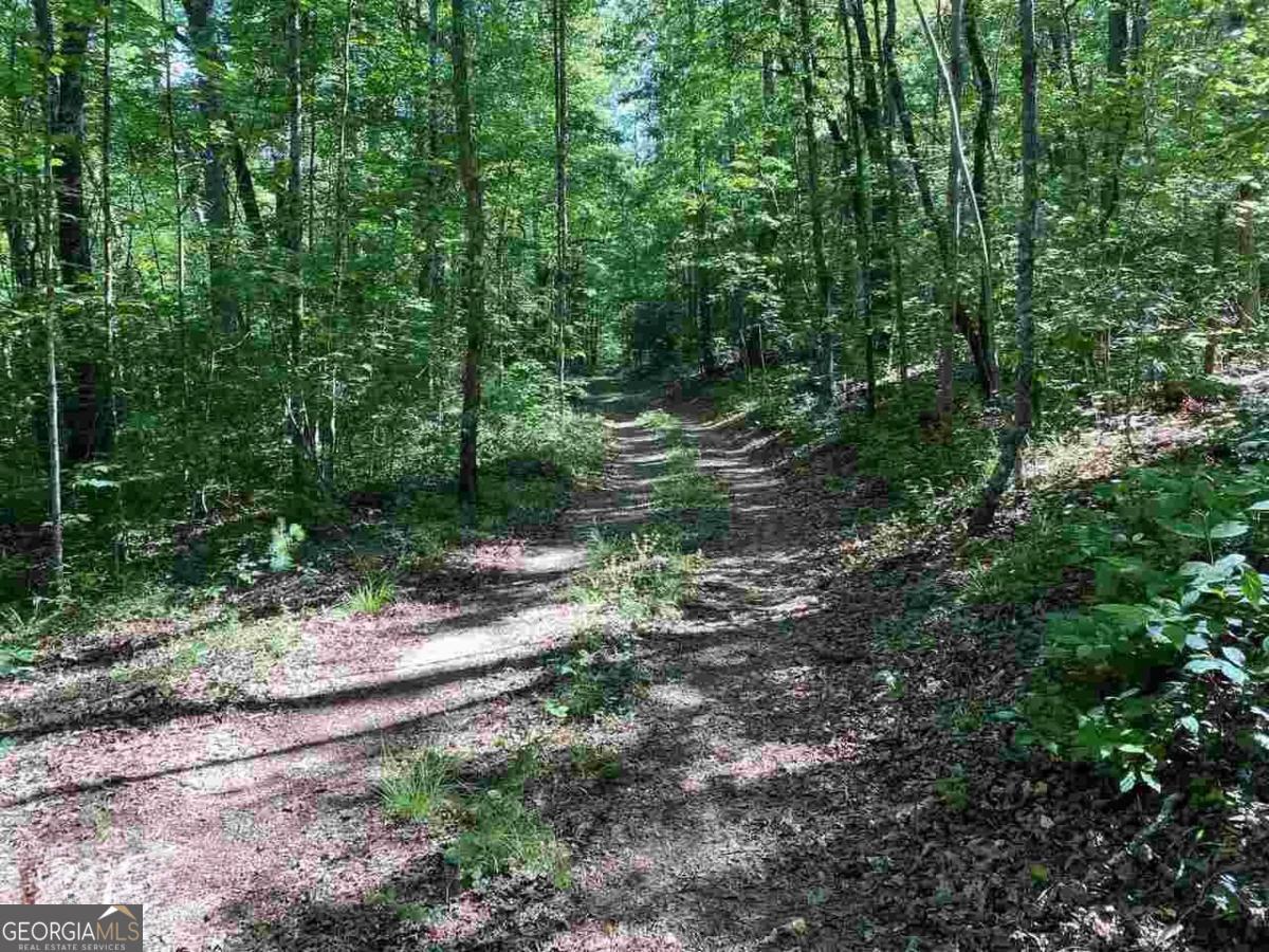 0 Oak Forest Drive Clarkesville GA 30523