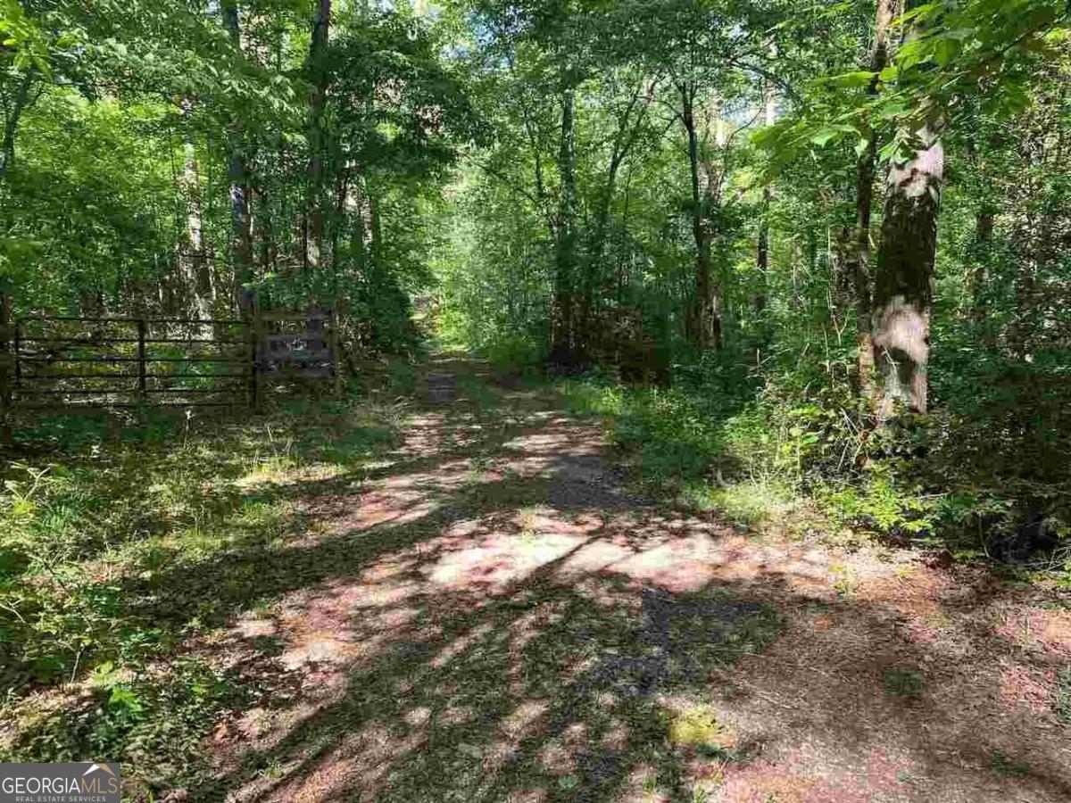 0 Oak Forest Drive Clarkesville GA 30523