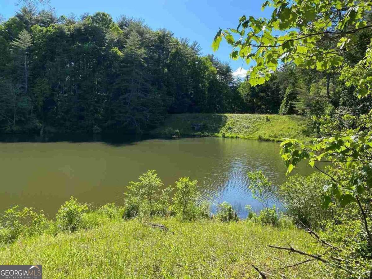 0 Oak Forest Drive Clarkesville GA 30523