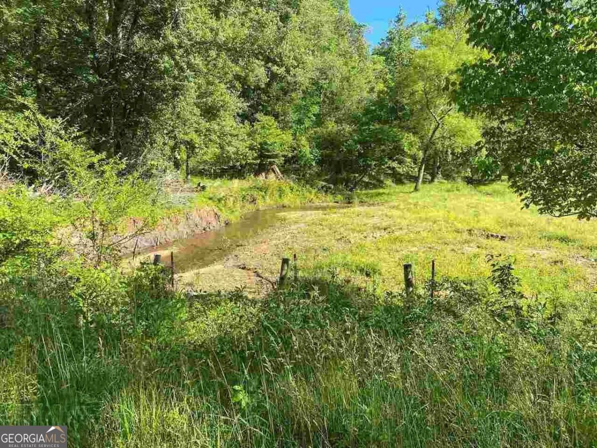 0 Oak Forest Drive Clarkesville GA 30523