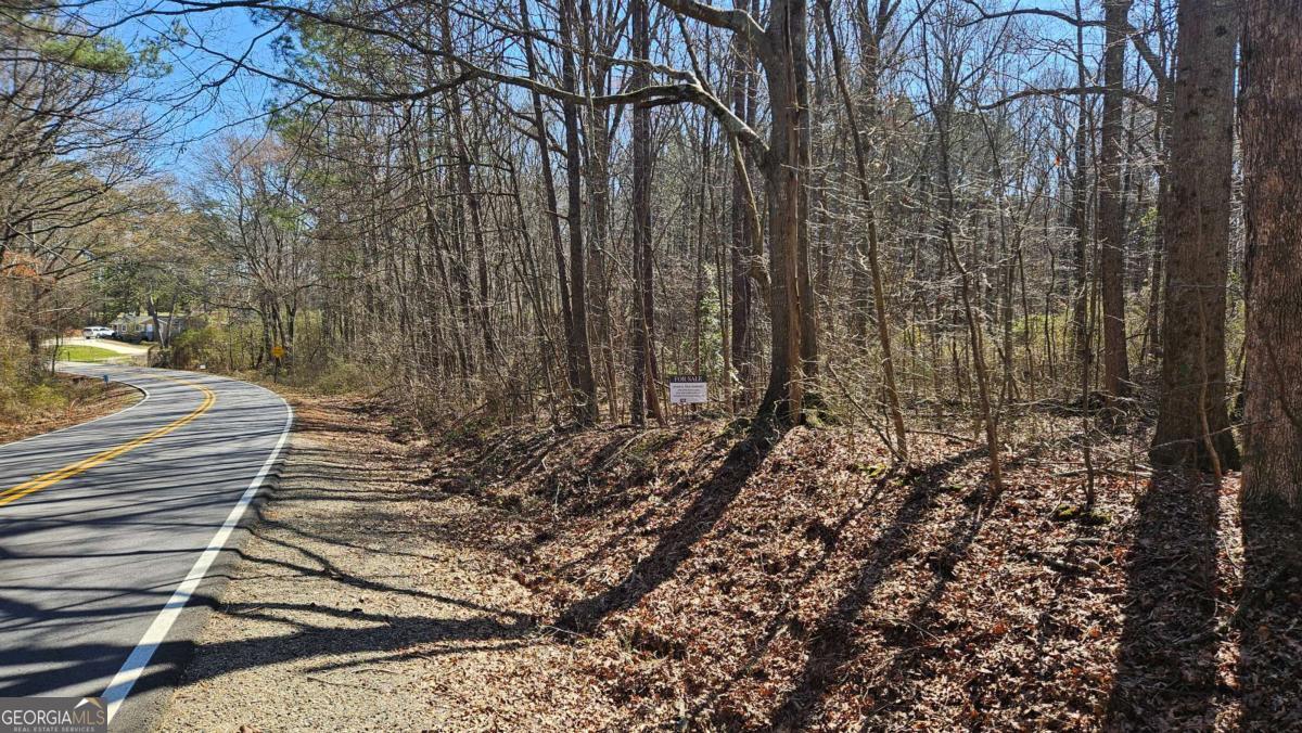 0 Cook Drive Ellenwood GA 30294