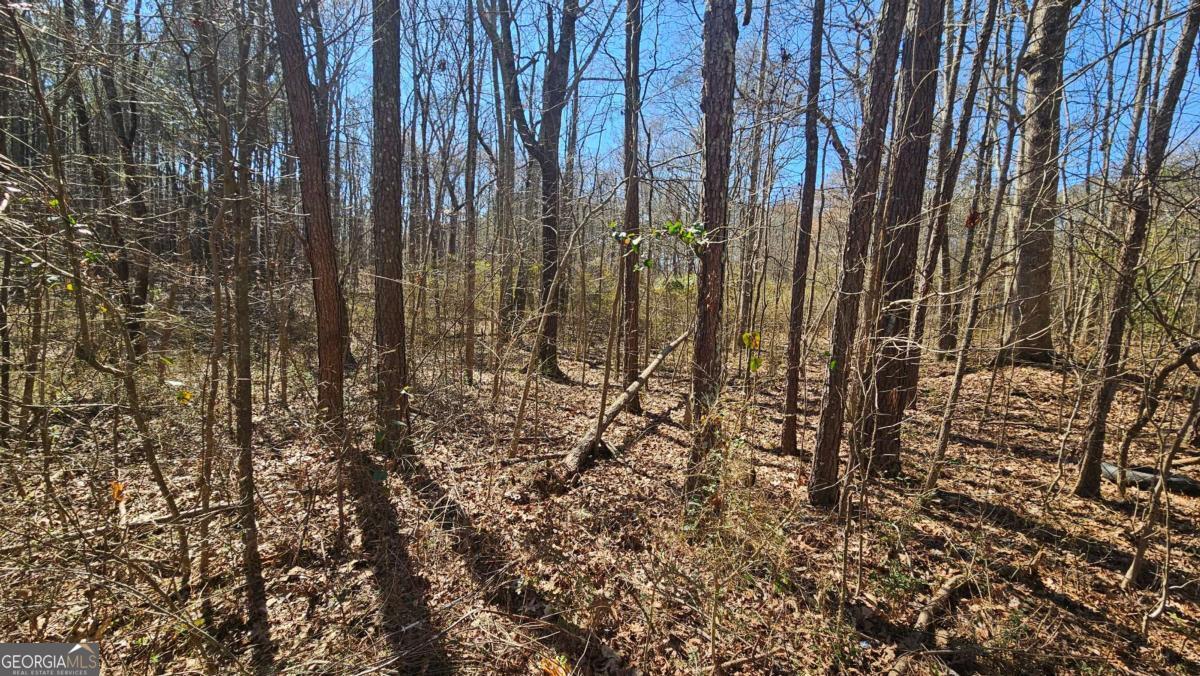 0 Cook Drive Ellenwood GA 30294