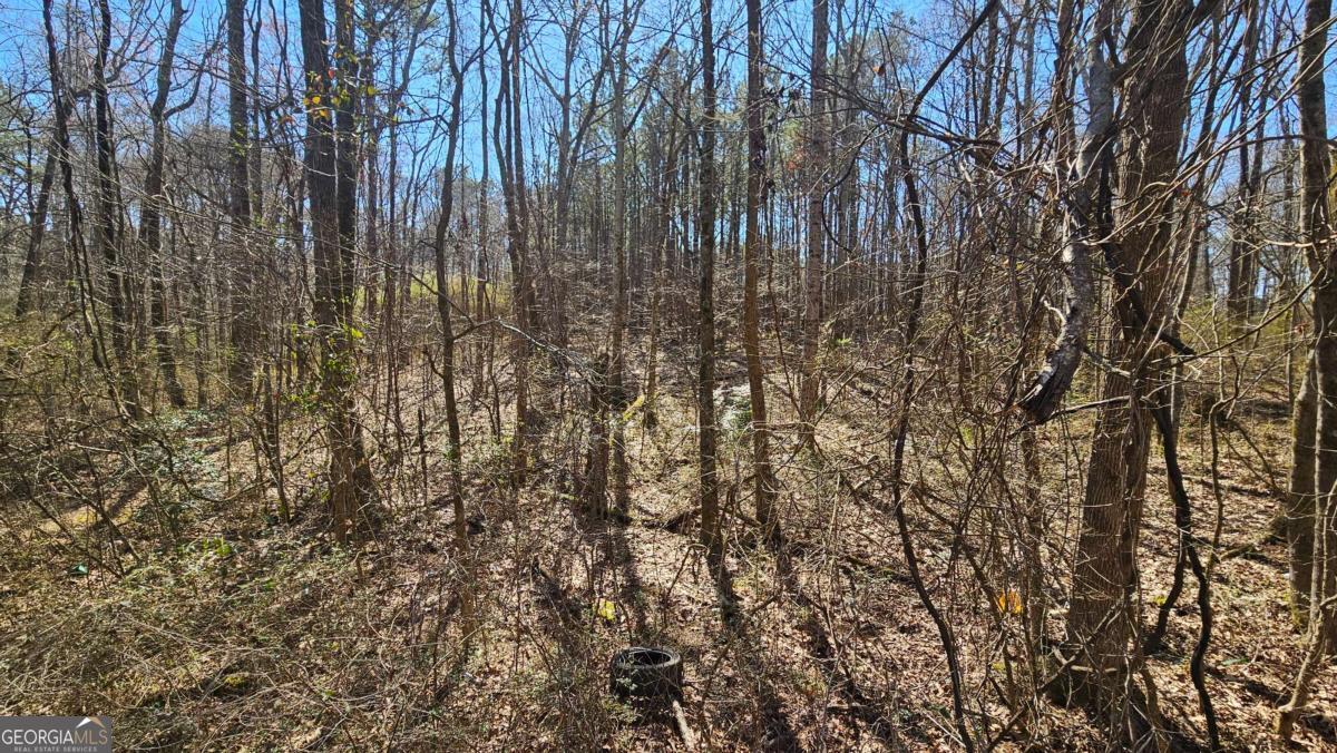 0 Cook Drive Ellenwood GA 30294