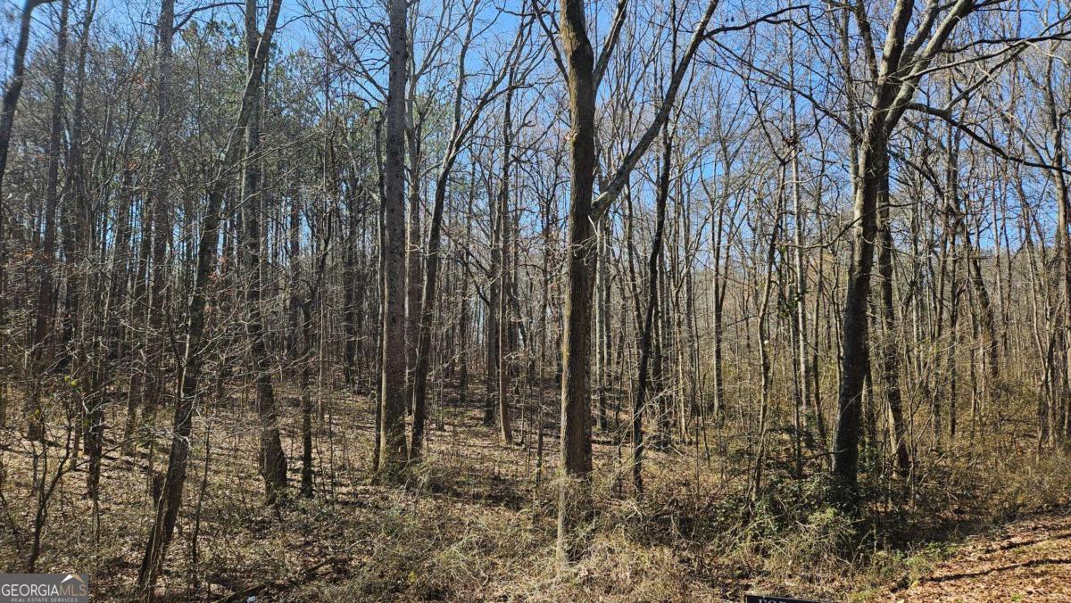 0 Cook Drive Ellenwood GA 30294