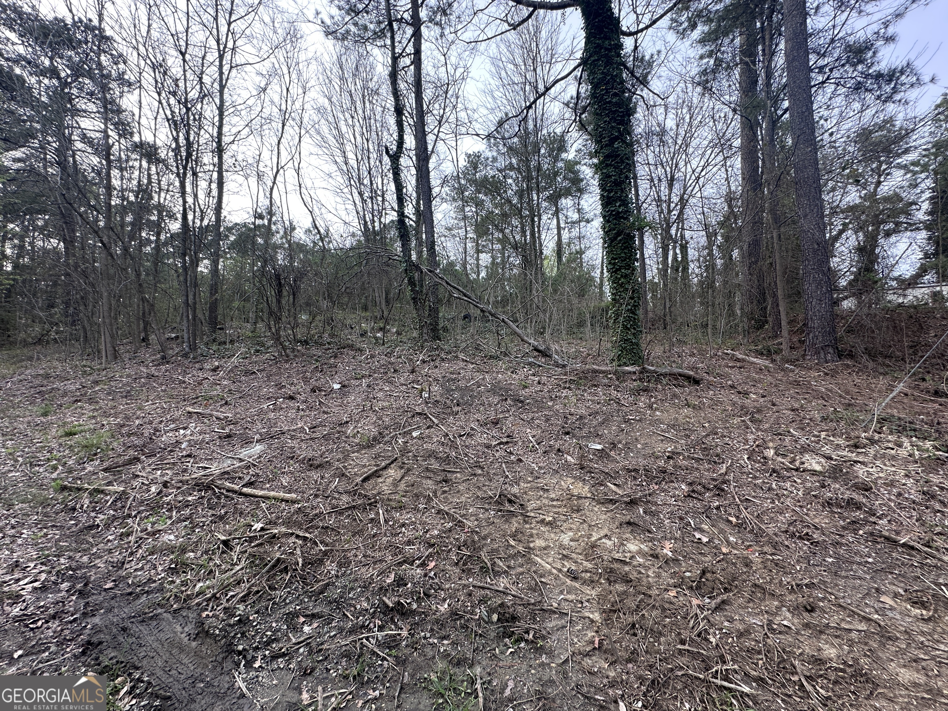 411 Gayle Drive SE Acworth GA 30102