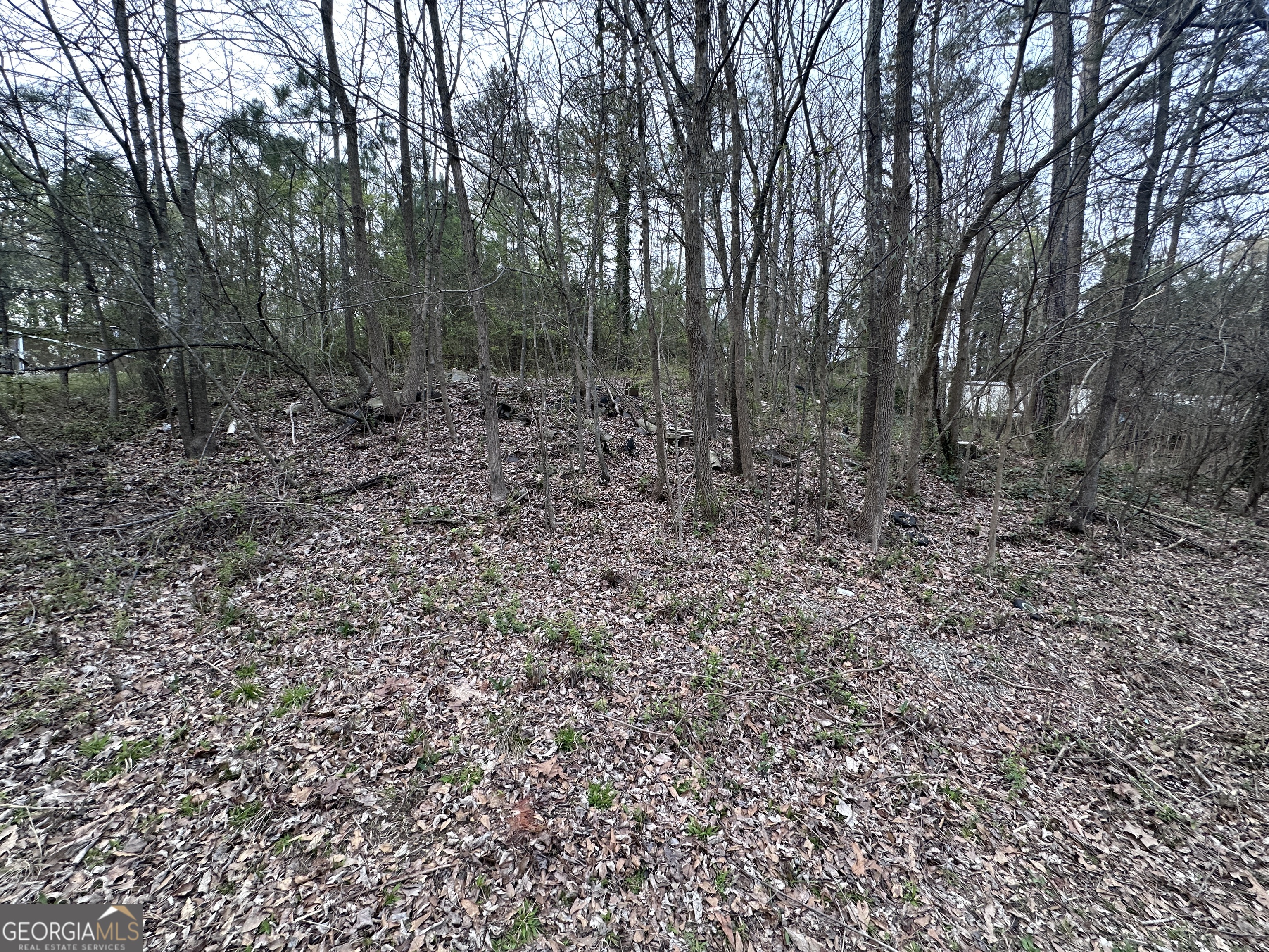 411 Gayle Drive SE Acworth GA 30102