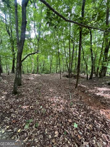0 White Stone Drive Cleveland GA 30528