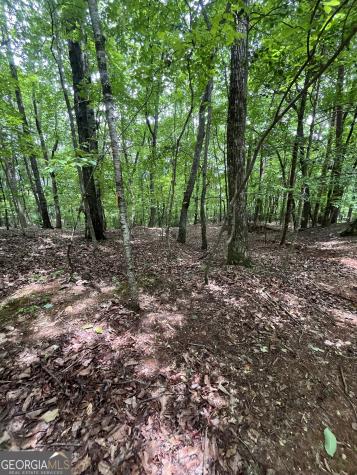 0 White Stone Drive Cleveland GA 30528